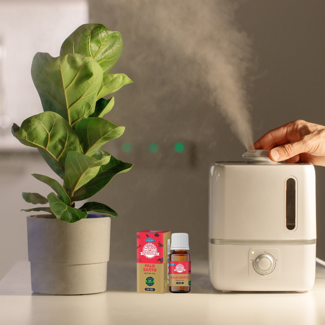 Aceite Natural de Palo Santo 10ml de BOK Concept Store, esencia purificadora para bienestar y meditación