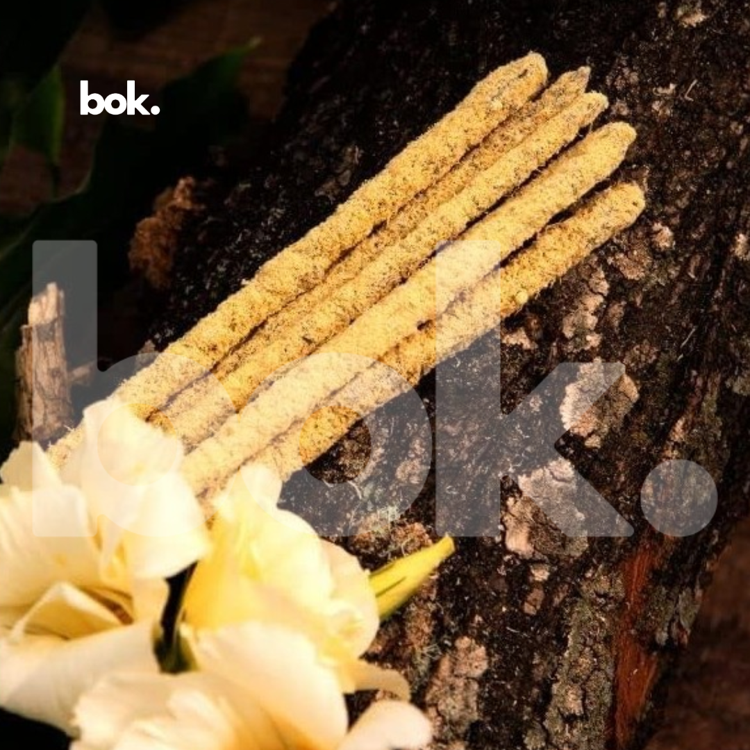 Detalle de varillas de incienso Amor Propio & Ternura con ingrediente natural magnolia, disponible en BOK Quito.