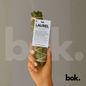 Sahumerio de Laurel de BOK sostenido en una mano, con humo elevándose suavemente y etiqueta visible. Fondo gris claro y estilo minimalista que transmite claridad, enfoque y prosperidad.