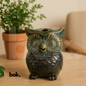 Porta conos de búho de BOK Concept Store, elaborado en cerámica artesanal, usado con un cono de incienso que libera humo suave para purificar y armonizar espacios, ideal para rituales de meditación, limpieza energética y decoración espiritual.
